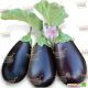Прадо F1 (КS 27 F1) семена баклажана (Kitano Seeds)