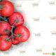 Витра (KS755) F1 семена томата дет (Kitano Seeds)