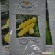 Добриня F1 семена кукурузы суперсладкой (Lark Seeds)