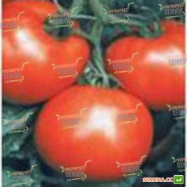 Мобил семена томата дет. (Lark Seeds)