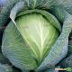 Супермаркет F1 насіння капусти б/к пізньої (Lucky Seed )