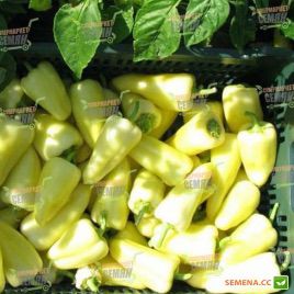 Альбатрос F1 семена перца сладкого (Seminis)
