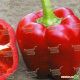 Аристотель F1 семена перца сладкого (Seminis)
