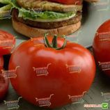 Биг Биф F1 семена томата индет. среднераннего окр.-прип. 280-330г (DRS-Seminis)