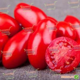 Дочет F1 семена томата дет. (Seminis)