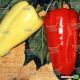 Джипси F1 семена перца сладкого (Seminis)