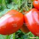 Яки F1 семена томата дет. (Seminis)