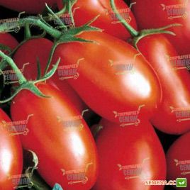 Хайпил F1 семена томата дет. (Seminis)