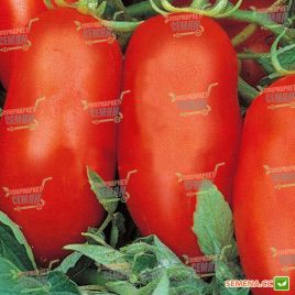 Хердон F1 семена томата дет. (Seminis)