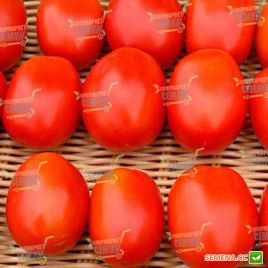 Конкистадор F1 семена томата дет. (Seminis)