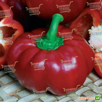 Притавит F1 семена перца сладкого (Seminis)