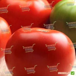 Саншайн F1 семена томата дет. (Seminis)
