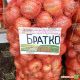лук репчатый братко f1
