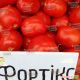 Фортикс F1 семена томата дет. (Syngenta)