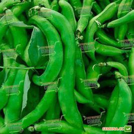 Кларон семена фасоли спаржевой (Syngenta)