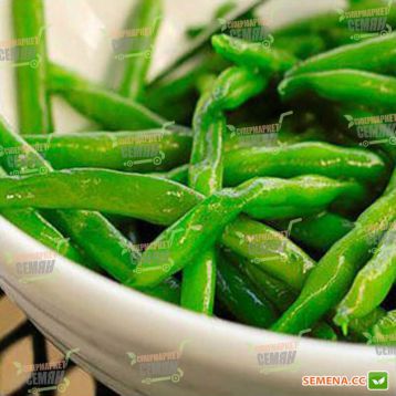 Конза семена фасоли спаржевой (Syngenta)