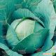 Куизор F1 семена капусты б/к средней 80-85 дн. 2-3 кг окр. (Syngenta) НЕТ ТОВАРА