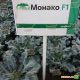 Монако F1 семена капусты брокколи (Syngenta)