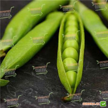 Джоф семена гороха овощного (Syngenta)