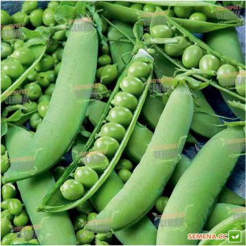Скинадо семена гороха овощного (Syngenta)