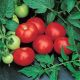 Топкапи F1 семена томата дет. раннего 68-70 дн. окр. 180-200 гр. красн. (Vilmorin)
