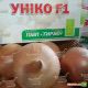 Унико F1 семена лука репчатого (Moravoseed)