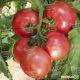 Пинк Харт F1 семена томата индет. (United Genetics)