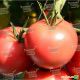 Пинк Джаз F1 семена томата индет. розового (Hazera)