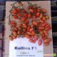 Томат Коллина F1 (Колина F1)