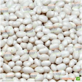 Белая овощная семена фасоли спаржевой (Euroseed)