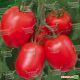 Рио Гранде семена томата дет. (Euroseed)