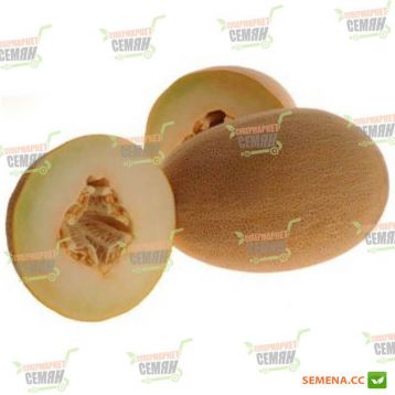 Мерлін F1 насіння дині тип Ананас (Hollar Seeds)