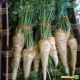 Бардовишер семена петрушки корневой (Hortus)