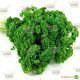 Мосс насіння петрушки кучерява (Hortus)