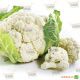 Фати F1 семена капусты цветной (May Seeds)