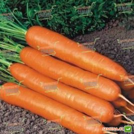 Нантес семена моркови Нантес (May Seeds)
