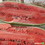 Чарльстон грей насіння кавуна (Rem seeds)