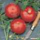Томат Ольга F1