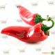 Ред Девил F1 семена перца острого (United Genetics)