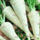 Алба семена петрушки корневой (Satimex КЛ) НЕТ ТОВАРА
