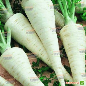 Алба семена петрушки корневой (Satimex КЛ) НЕТ ТОВАРА