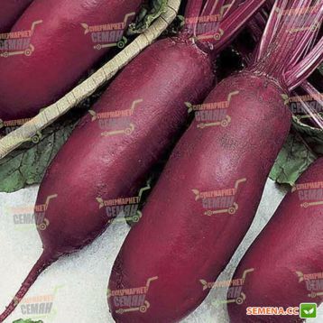 Атаман семена свеклы столовой (Satimex)