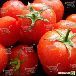 Игранда семена томата дет. среднераннего 110-115 дн. окр.-прип. 120-160г красный (Satimex КЛ)