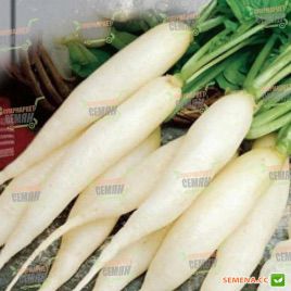 Ледяная сосулька семена редиса (Satimex)