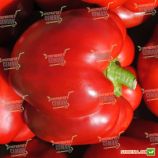 Перець Сондела F1 (Зондела F1) 