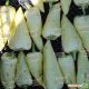 Флексум F1 семена перца сладкого (Seminis)