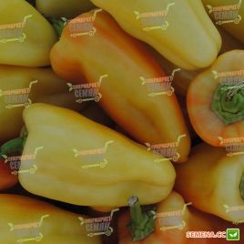 Диментио F1 семена перца сладкого (Syngenta) 
