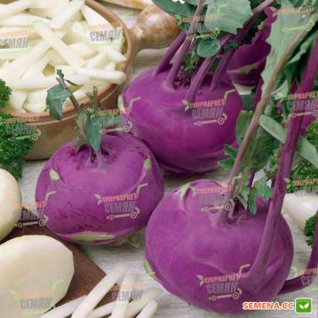 Азур семена капусты кольраби (Semo)