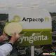 Агрессор F1 семена капусты б/к среднепоздней 110-120 дней 3-5 кг окр. (Syngenta)