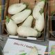 Бибо F1 семена баклажана (Seminis)